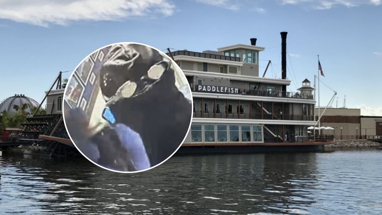 Ladrón vestido de buzo escapa nadando con miles de dólares en restaurante de Disney