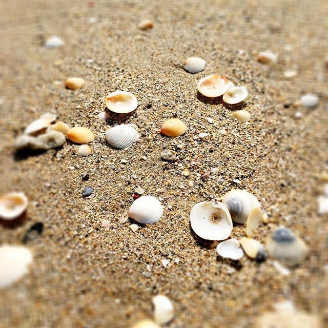 ¿Qué travesuras harán juntos los hermanos Mottola Sodi?