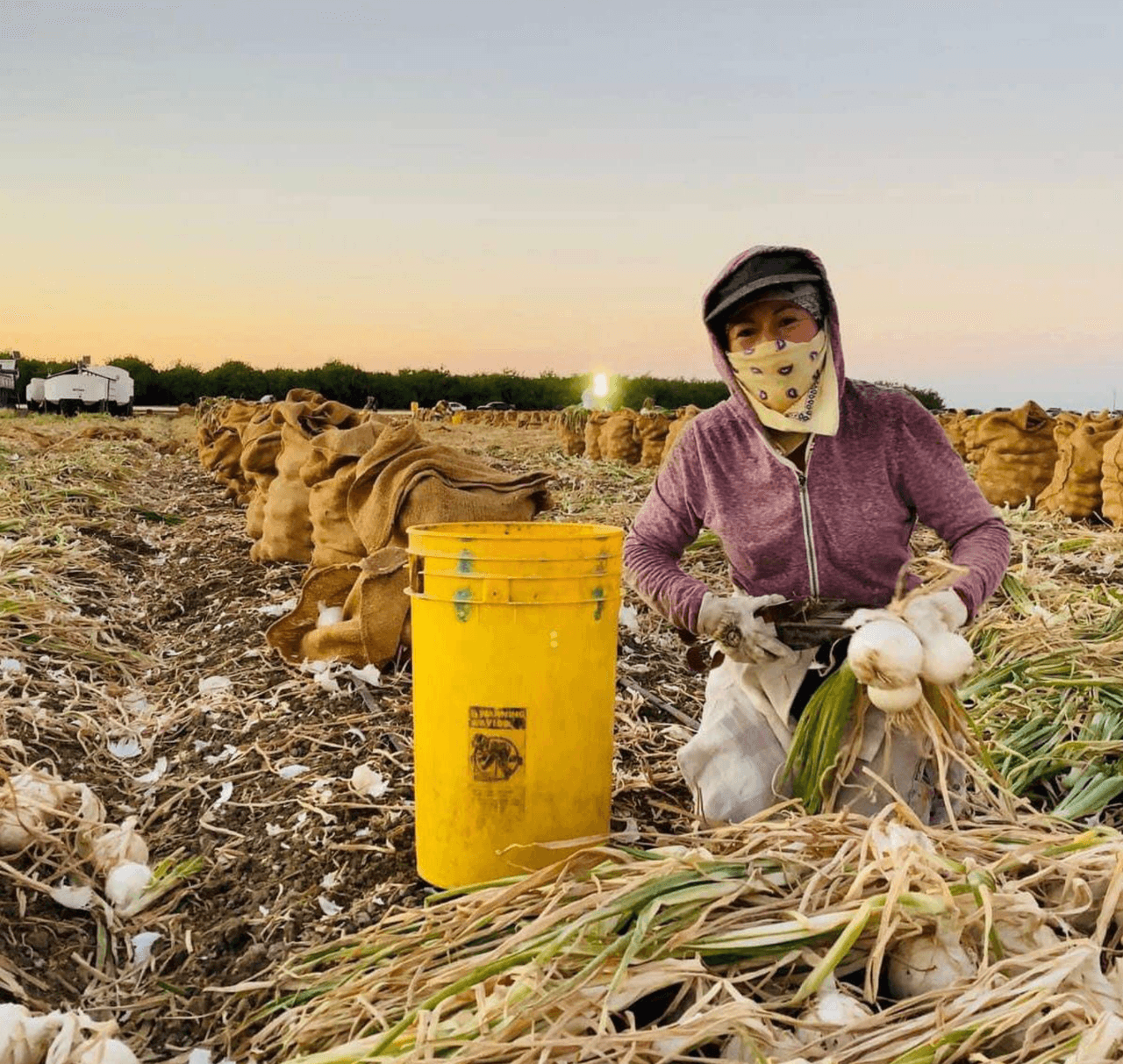 <b><a href="https://www.univision.com/local/fresno-kftv/asi-trabajan-los-campesinos-del-centro-de-california-en-uno-de-los-meses-mas-calurosos-de-la-historia-fotos">Agosto fue el mes más caluroso del año y también fue el agosto más caluroso</a></b> desde 1920. Con varias olas de calor, los campesinos soportaron temperaturas cercanas a los 110 grados, además de trabajar en medio del humo de los incendios que afectaron el Área de la Bahía.