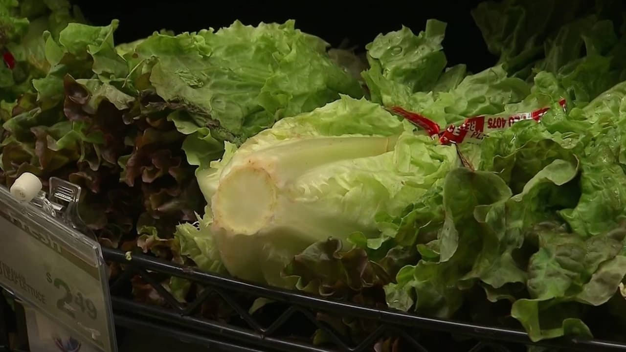 Brote de ciclosporiasis apunta a lechuga servida en Taco Bell