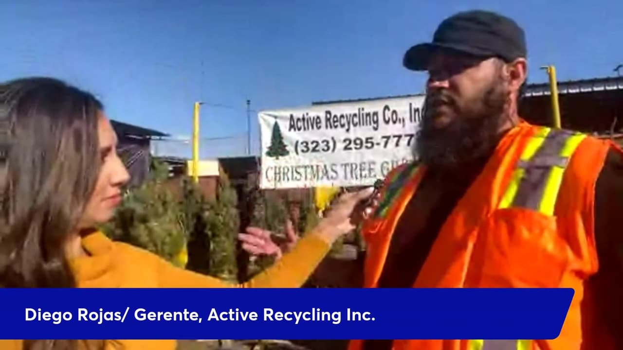 Te regalan un arbolito de navidad a cambio de productos reciclables