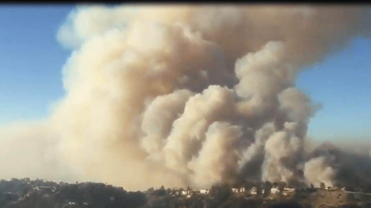 El ave provocó un incendio que quemó 156 acres en Chino Hills y destruyó una casa de dos pisos.