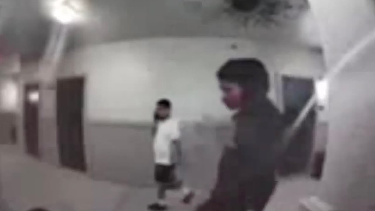 El
<a href="https://www.univision.com/local/houston-kxln/advierten-sobre-el-aumento-de-mascotas-abandonadas-en-houston-y-los-riesgos-de-hacerlo-video">dueño del perro</a> regresó a su apartamento luego de pasearlo y al entrar, vio la sombra de un hombre. Un segundo sujeto lo golpeó en la nuca con una pistola para luego atarlo con un cinturón.