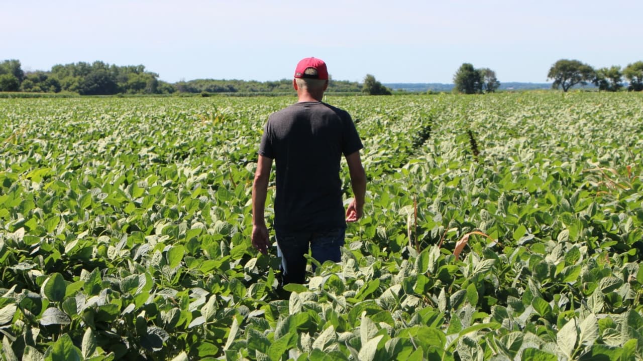 Trump anuncia un paquete de ayuda de $12,000 millones para agricultores afectados por los aranceles