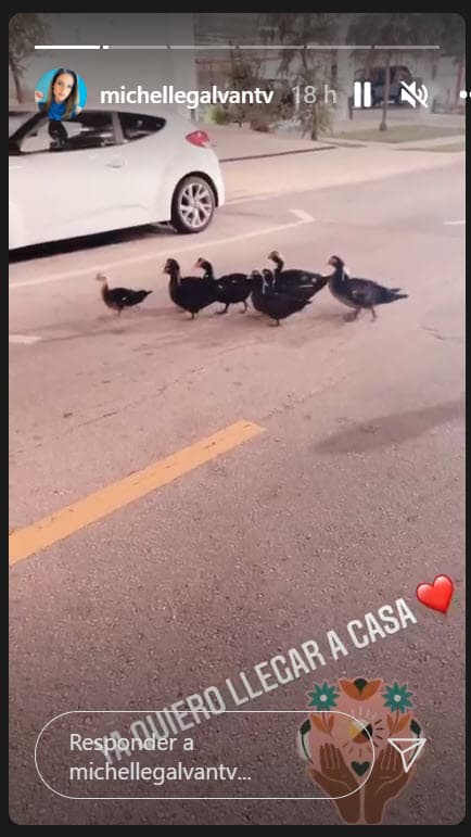 Esta semana no fue la excepción. Luego de que la conductora acabó el show de este martes 9 de noviembre, ya contaba los minutos para estar al lado de la niña. 
<br>