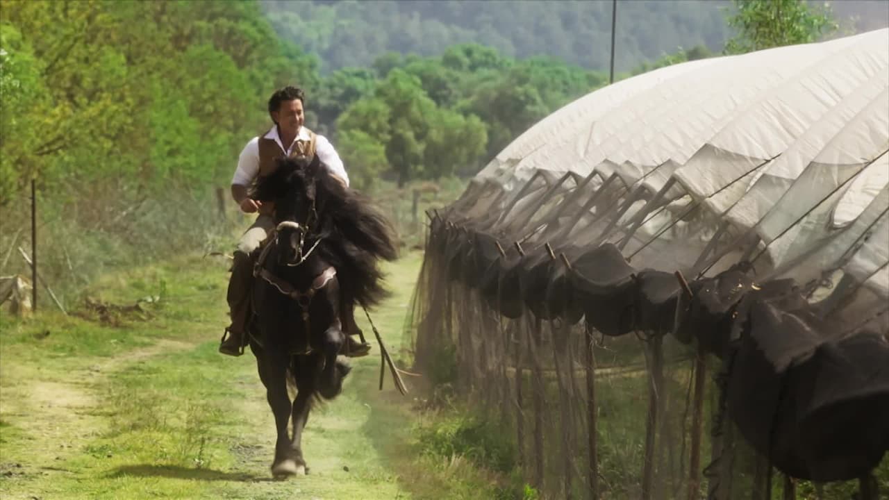 En Amanecer el amor se abrirá paso en medio de intrigas, tragedias y traiciones