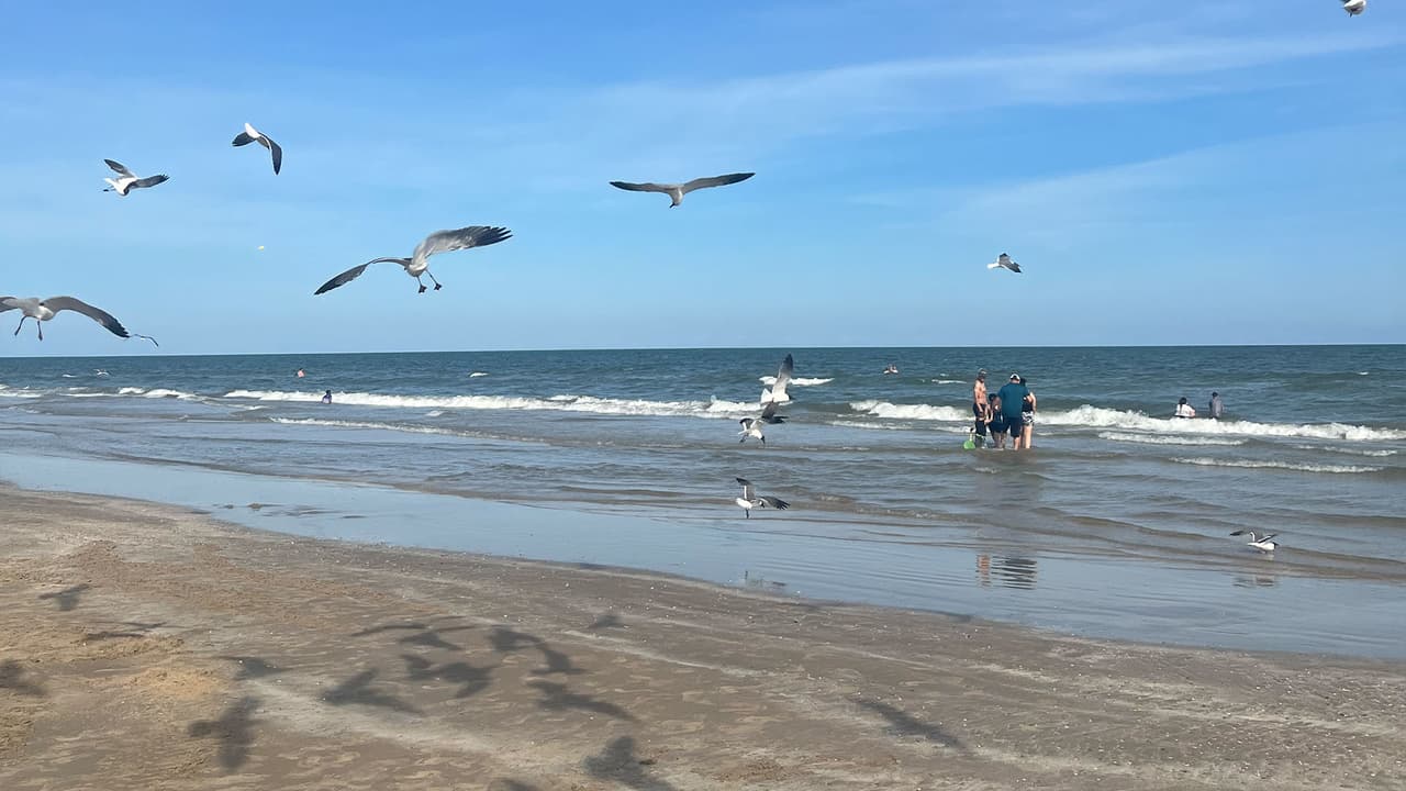 Se recomienda llevar bolsas de basura porque no existen muchos contenedores, así como también sombrillas, sillas y demás artículos necesarios para pasar un buen día de playa.