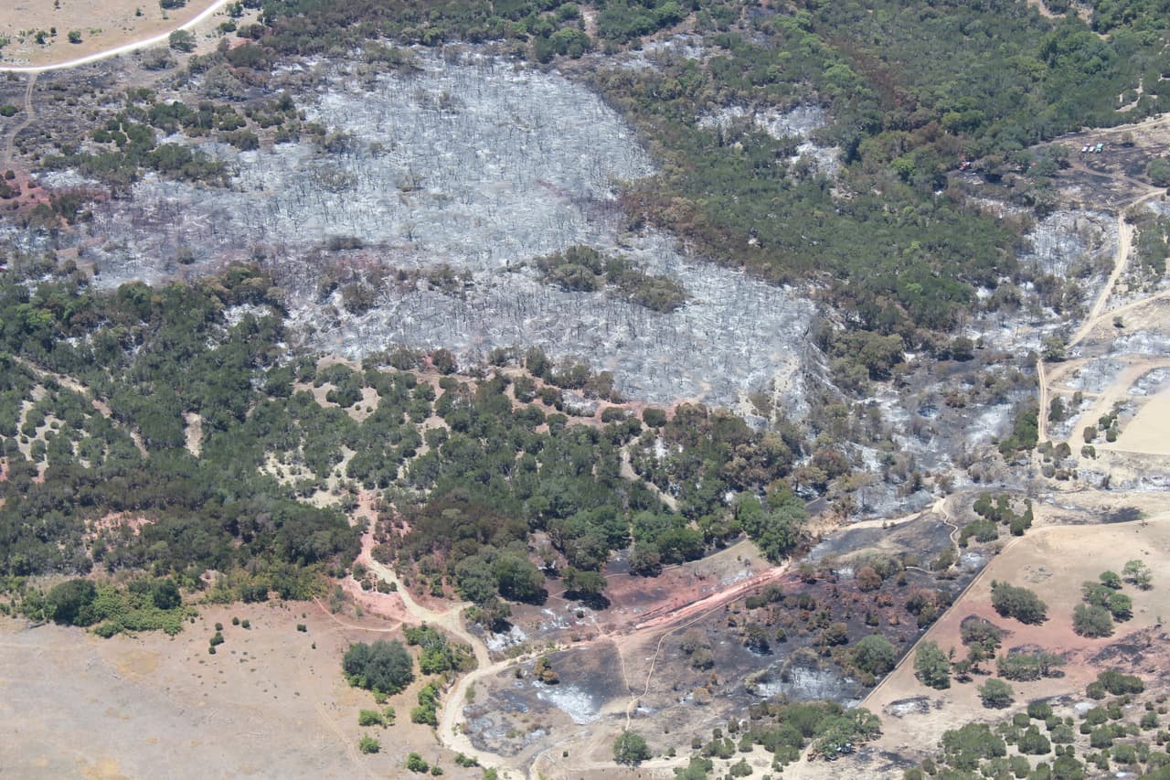 El lago Georgetown y los senderos a su alrededor están cerrados para los visitantes hasta nuevo aviso.