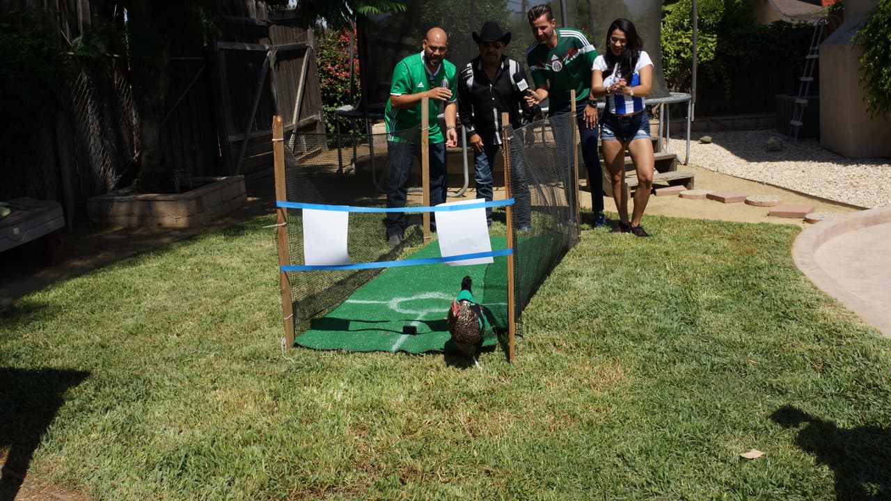 La Gallina Vidente llega al Gordo y La Flaca.