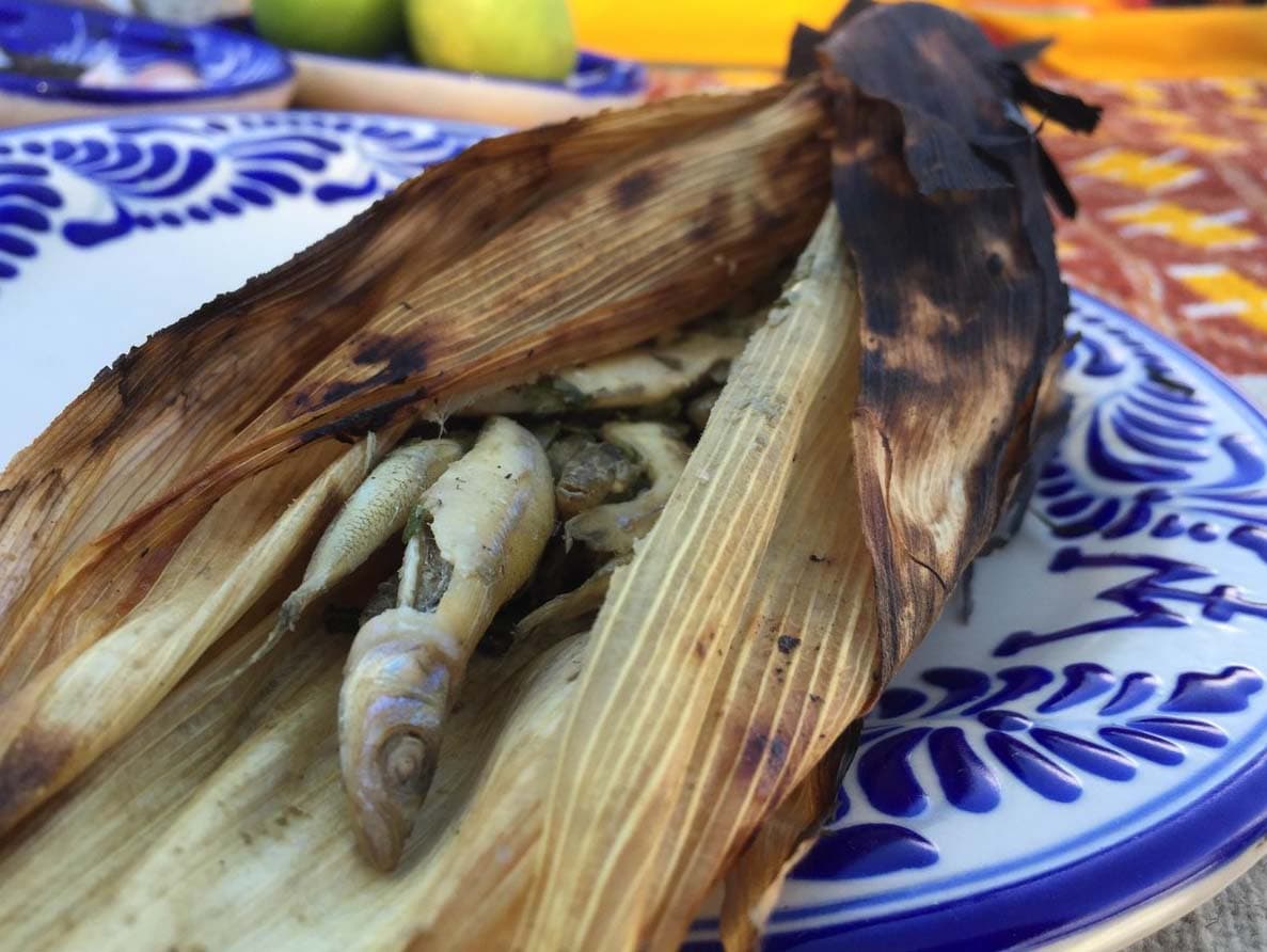 El Chef Yogui nos ha demostrado ser todo un experto en la cocina mexicana y con este tamal de charalitos, nos lo dejó bien claro.