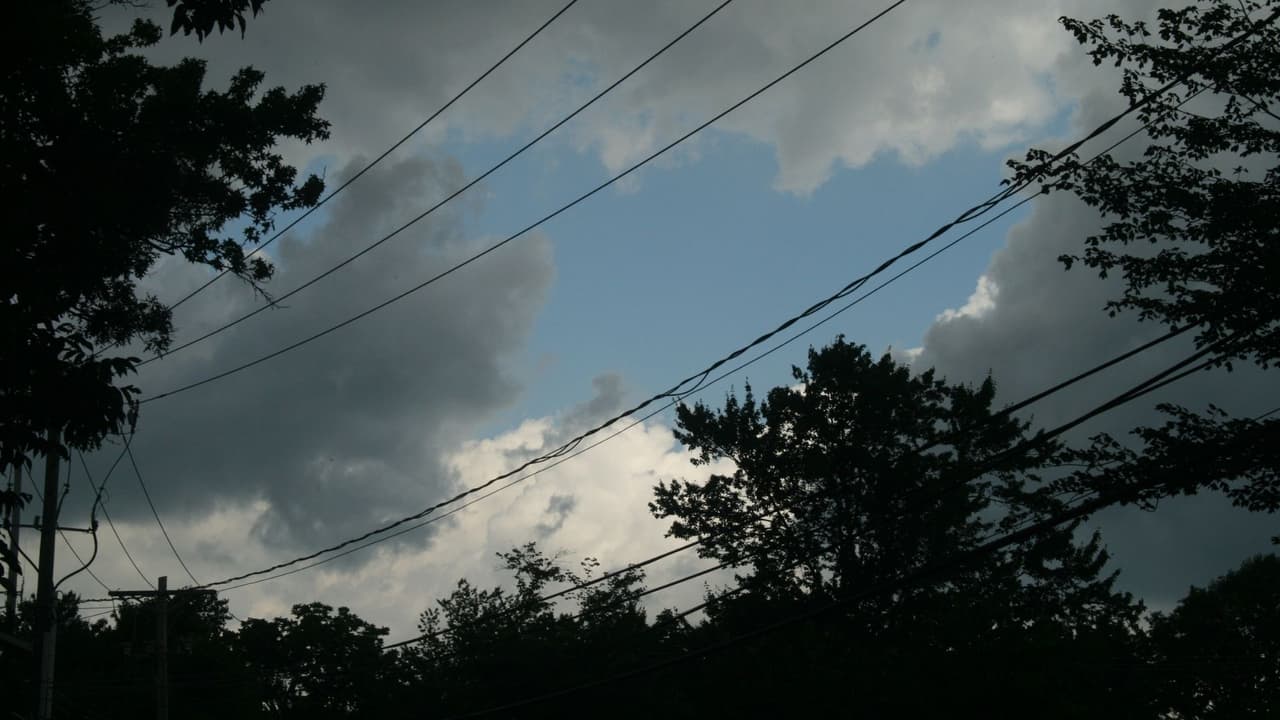 <b>Nunca toques cables caídos:</b> si ves una línea eléctrica caída, asuma que está energizada y es extremadamente peligrosa. No lo toques ni intentes moverla. Mantén alejados a los niños y los animales. Reporta las líneas eléctricas caídas inmediatamente llamando al 9-1-1 y llamando a PG&E al 1-800-743-5002.