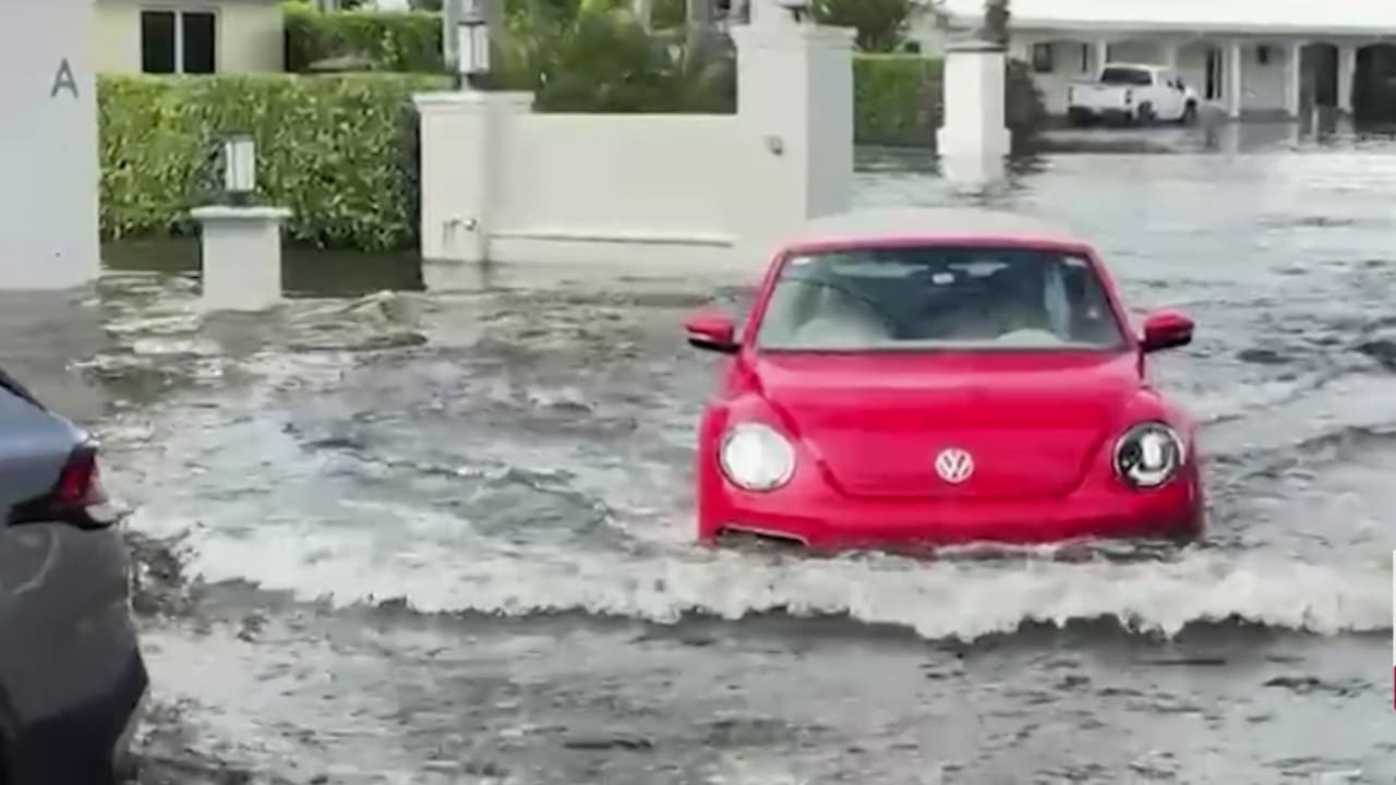 Imágenes de la emergencia en el sur de Florida por la Marea Real: rescates y autos atrapados
