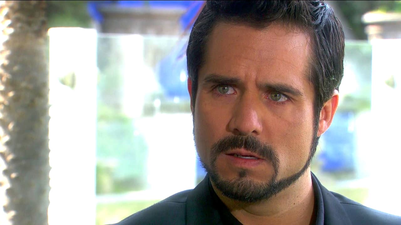 ¿Se lo confesarás?