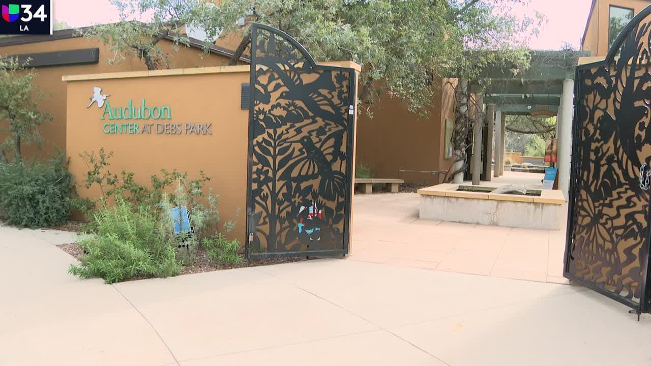 La extinción de las aves es más grave de lo que parece y en Los Ángeles un reservorio trata de detener el impacto en el ecosistema