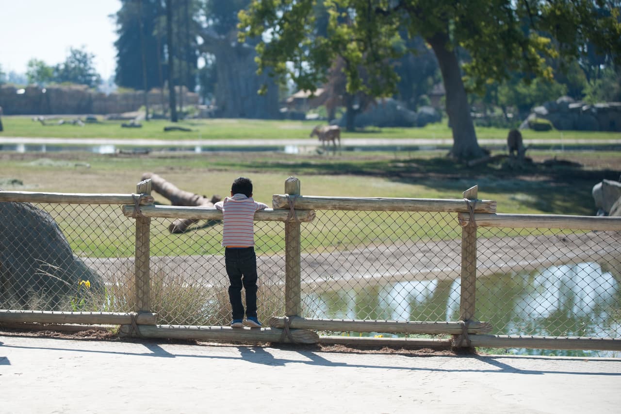 Un bello dia fue perfecto para las familias desde Bakersfield a Modesto.