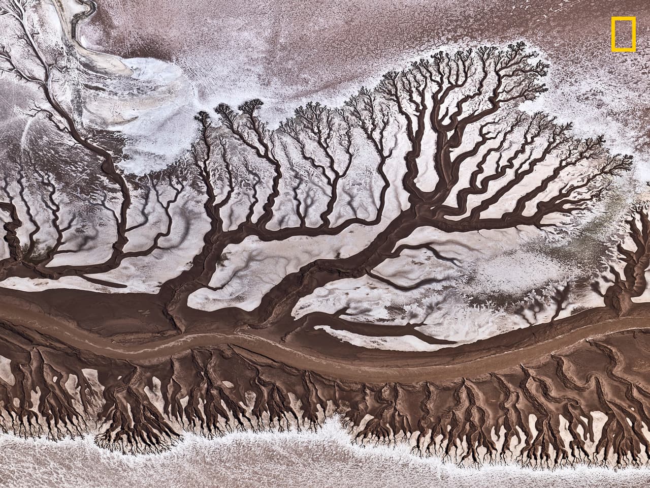 <b>Río Colorado. </b>“Como se sabe, el río Colorado es muy poco profundo debido al uso activo del agua para fines agrícolas. Y cuando llega al océano en México está casi seco. La toma aérea fue hecha desde un avión Cessna”, 
<a href="https://www.nationalgeographic.com/travel/contests/travel-photo-contest-2019" target="_blank">explicó el autor. </a>