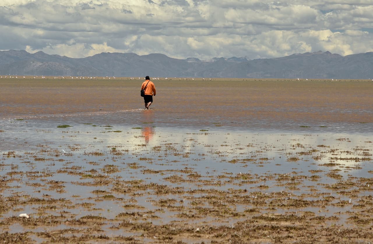 El gobernador de Oruro, Víctor Hugo Vásquez, anunció recientemente que el lago Poopó, en el suroeste de Bolivia, ha logrado recuperarse parcialmente tras desaparecer casi completamente en 2015. Según sus primeras estimaciones basadas en fotos satelitales, las fuertes lluvias que han inundado algunas zonas del país cubrieron unos 1,300 kilómetros cuadrados de la superficie del lago.
<br>