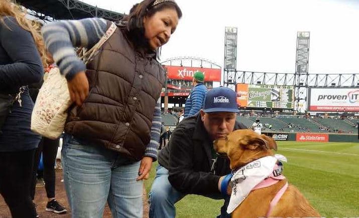 En esta ocasión asistieron más de 400 perros.