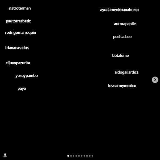 En su publicación, Ana Brenda agradeció a los amigos que la ayudaron en esta iniciativa, entre ellos se encuentran el modelo Juanpa Zurita y la cantante Pambo.