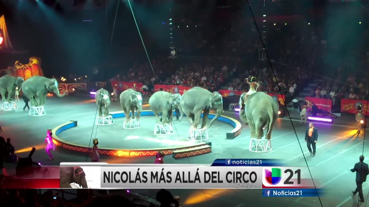 "Nicolas, mas alla del circo" Pt2