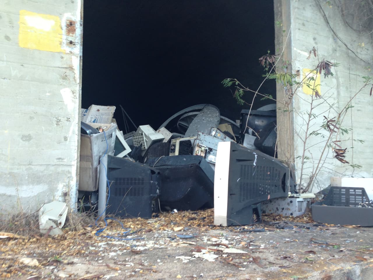 Zona abandonada de los "bunkers" de la Marina en Vieques