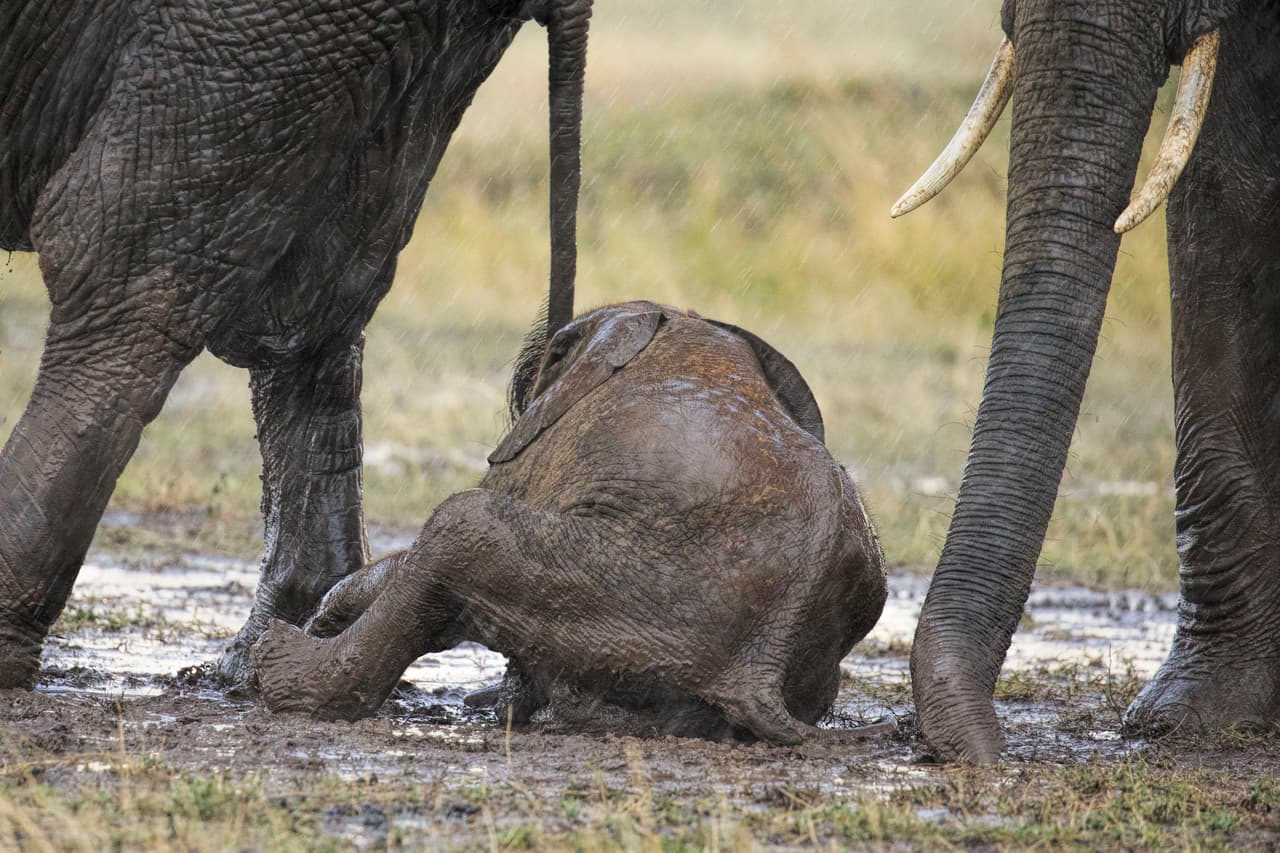 Así es como la mamá y su pequeño llegaron a tiempo para hacer ‘pasteles’ de lodo.