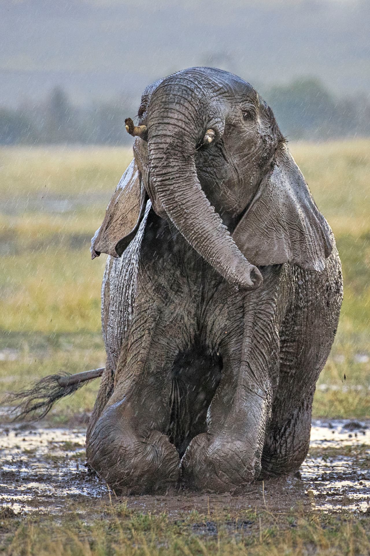 ¡Qué divertido lucía este pequeño bajo la lluvia!