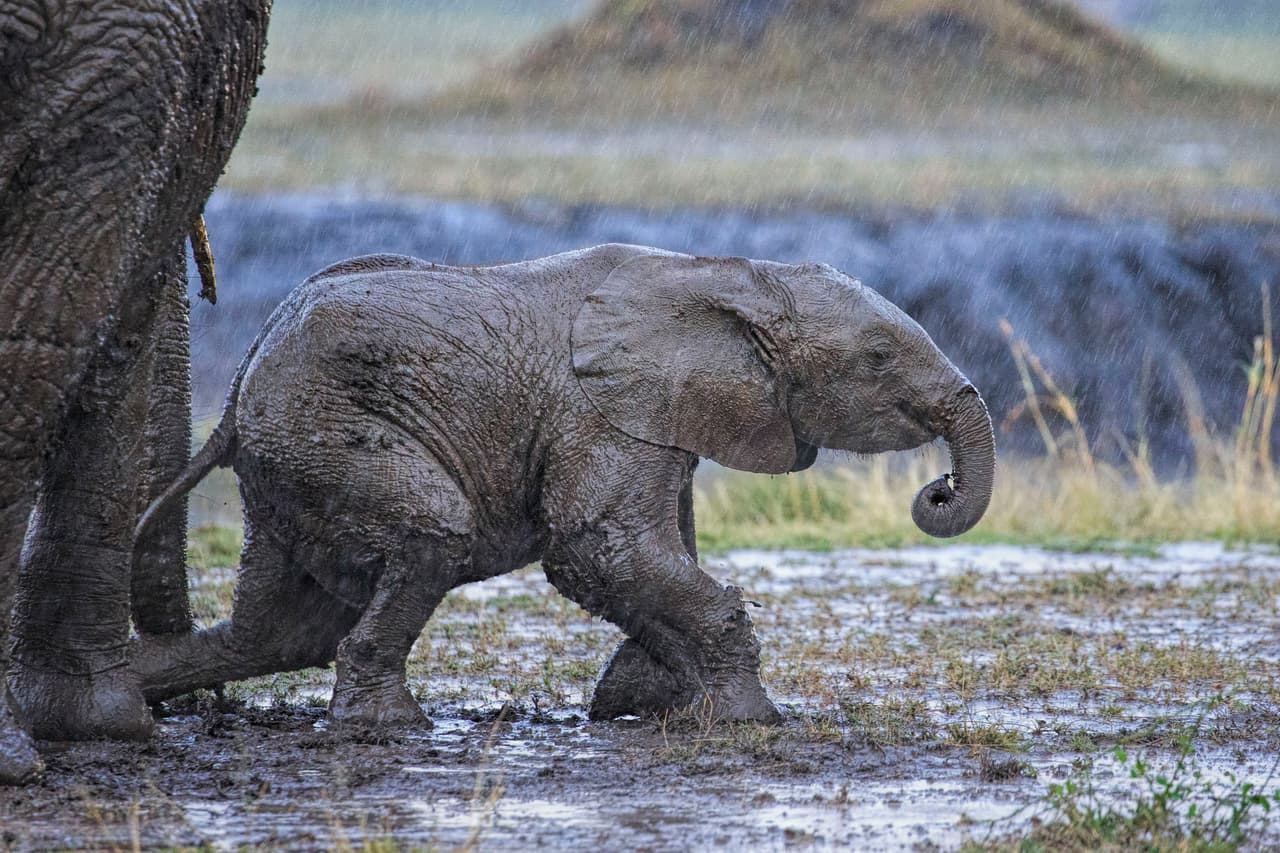 Lo primero que encontró fue el lodo a sus pies.