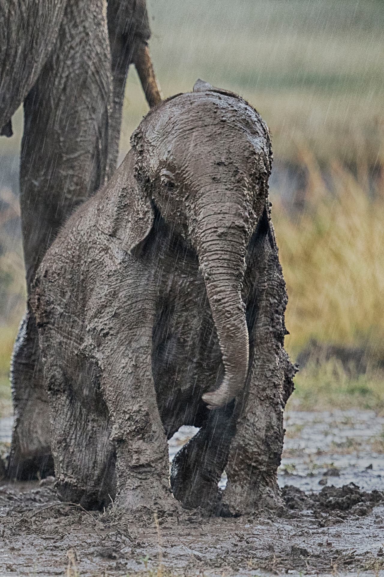 ¡Tal vez quería una máscara para su cutis seca!