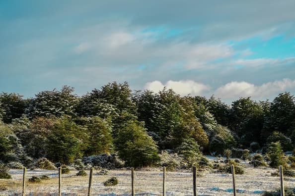 Condados al sur de la I-10 tienen mayor probabilidad de incendios forestales por sequía extrema