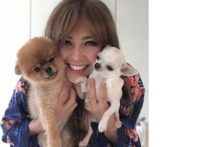 Thalia comparte el amor de sus hijas y su esposo Tommy Mottola, con sus pequeños perritos llamados ‘Love’ y ‘Gigi’, que presume en sus redes sociales.
