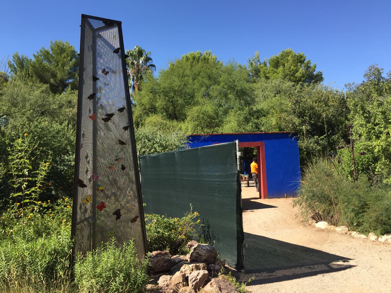 Las mariposas tienen un lugar dentro de la exhibición