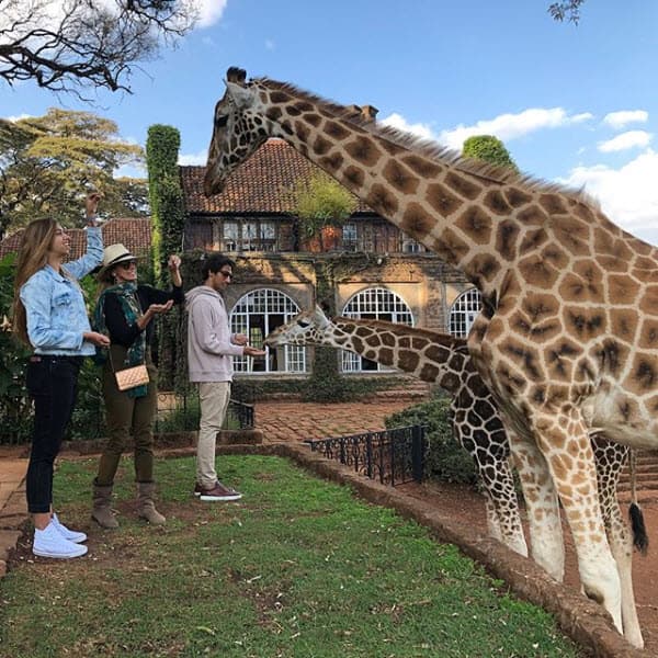 Lina, Lorenzo y Lili disfrutaron al máximo esta experiencia, pues convivieron muy de cerca con los mamíferos más altos del planeta.