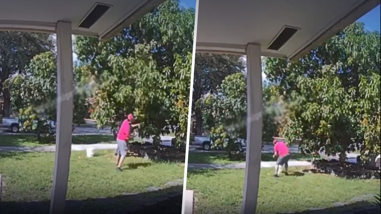 Hombre que es captado en video quitando mangos de un árbol en Miami, se enoja cuando la dueña lo enfrenta