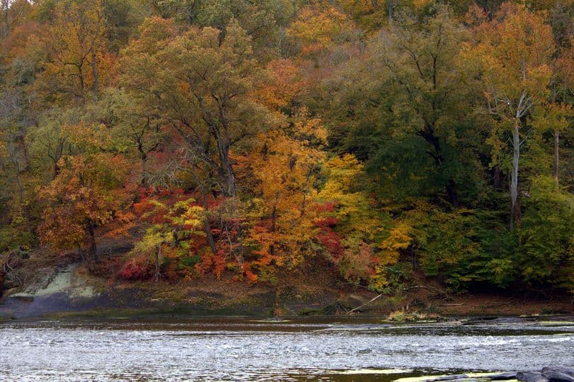 <b>Raven Rock State Park (Campbell Creek Loop Trail)</b>: Raven Rock, aproximadamente a una hora del Triángulo y a 45 minutos de Fayetteville, se parece un poco al Parque Estatal Hanging Rock en el sentido de que puede llenarse de gente. Más bien, el sendero llano de 2.6 millas hasta la atracción homónima del parque puede estar abarrotado de gente atraída por el acantilado de 150 pies con vista al río Cape Fear. Eso está en el lado este del parque. Ve hacia el oeste por Campbell Creek Loop Trail de 5 millas y las multitudes disminuirán significativamente. Caminado en el sentido de las agujas del reloj, el sendero serpentea a través de un bosque de madera dura con el color del otoño antes de descender hasta Cape Fear y Lanier Falls.