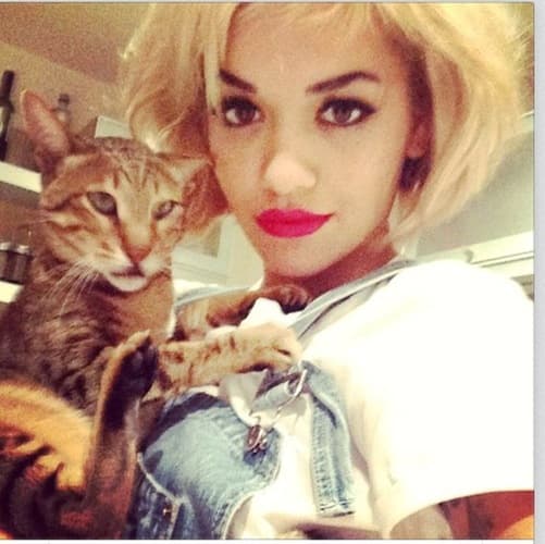 Rita Ora posa muy guapa con su gatita.