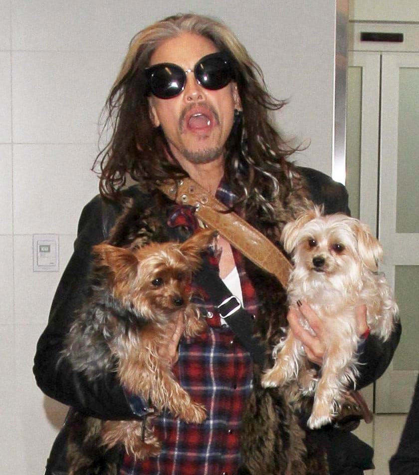 Ni más ni menos que Steven Tyler, el vocalista de la banda Aerosmith.