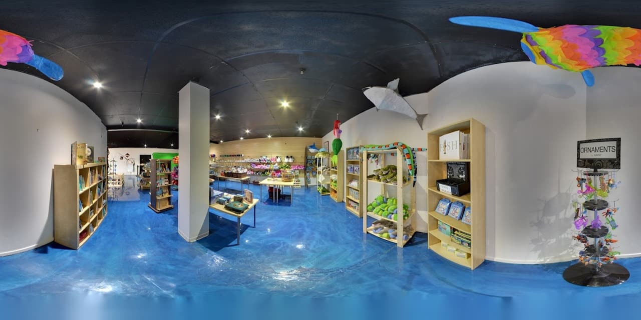 <h2 class="cms-H2-H2">El Acuario de Austin</h2>
<br>
<br>Para escapar del calor del verano en Austin, una de las opciones es el acuario. Un lugar para apreciar la vida marina e interactuar con algunos animales salvajes pequeños. Es niños de todas las edades.