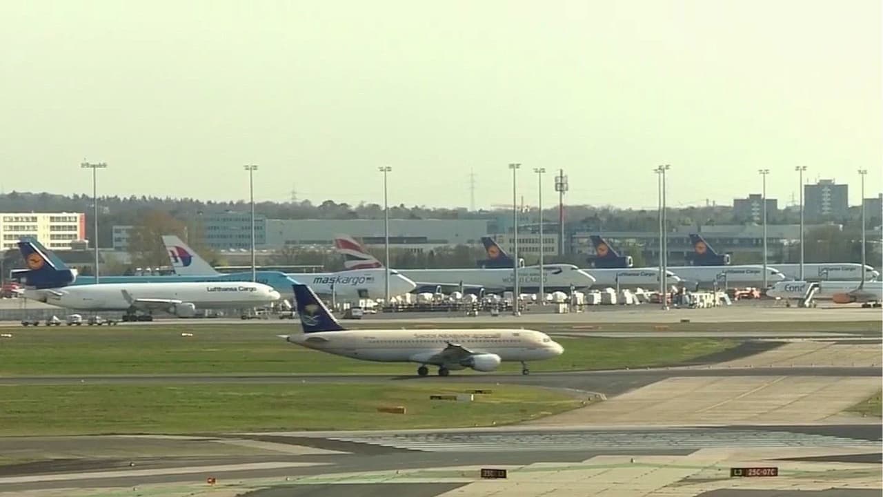 Mueren dos trabajadores en aeropuerto de Frankfurt, Alemania, tras un brote de malaria; mosquitos habrían llegado en una aeronave