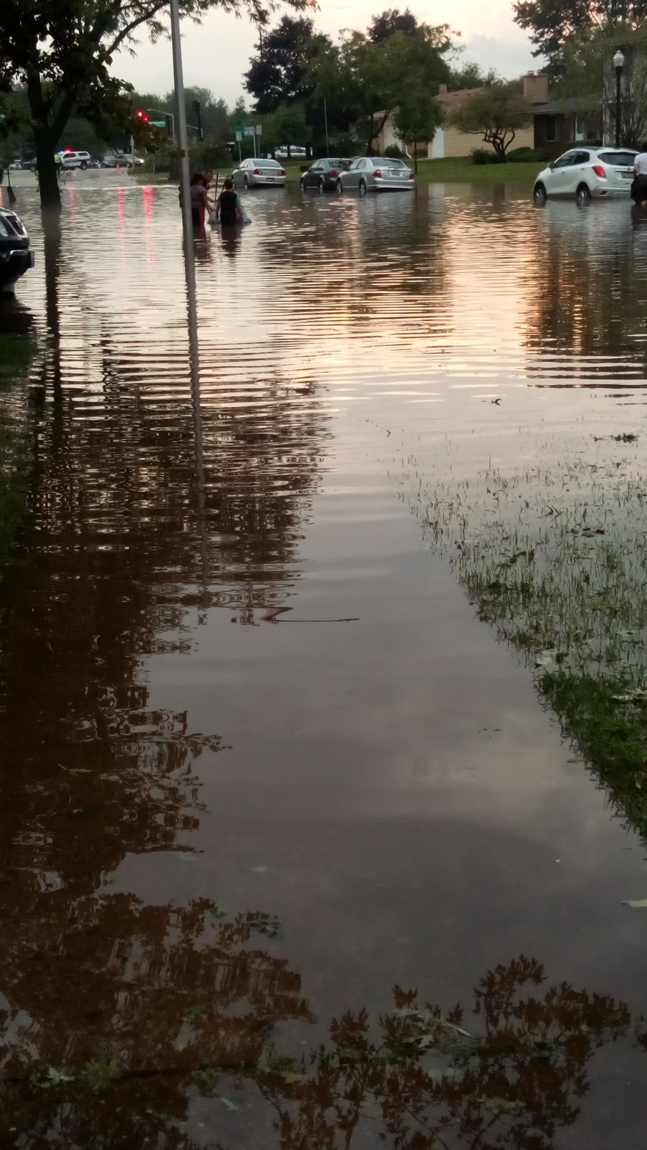 ComEd reporta que 38,000 usuarios se han quedado sin servicio por las tormentas.