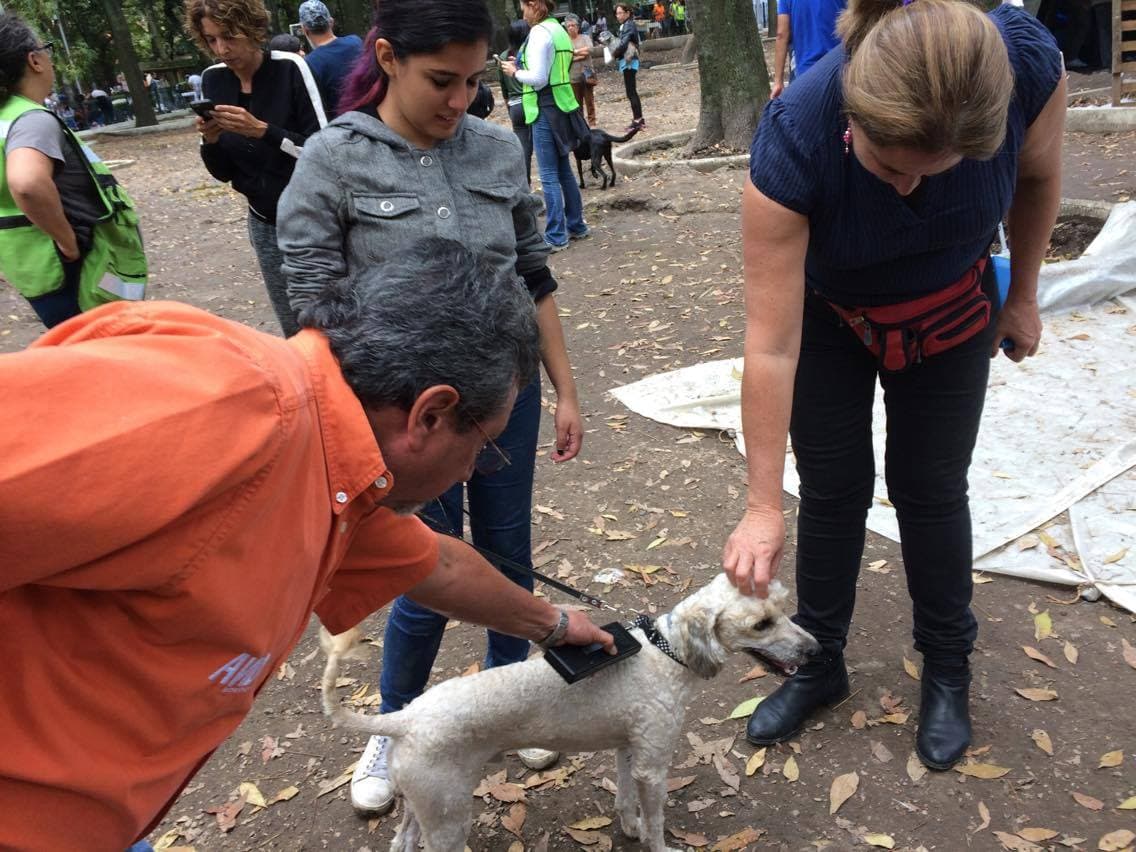 José Luis Solórzano, dueño de una empresa de chips para mascotas, pasa un scanner por todos los caninos que llegan al albergue. 
<br>