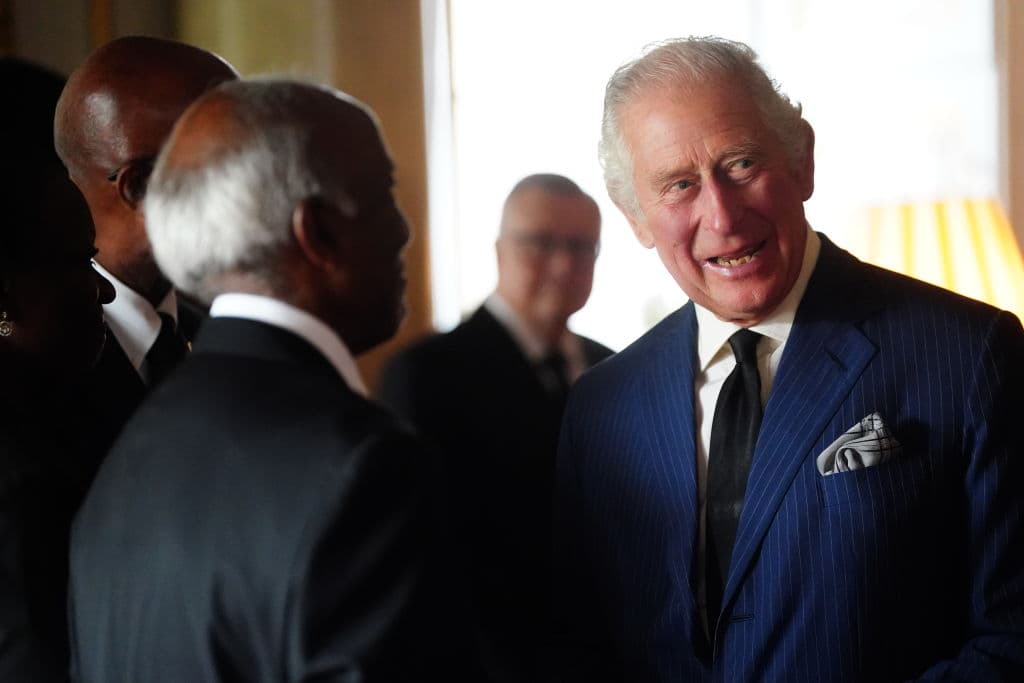 El rey Carlos III durante la recepción con los embajadores de la Mancomunidad de Naciones.