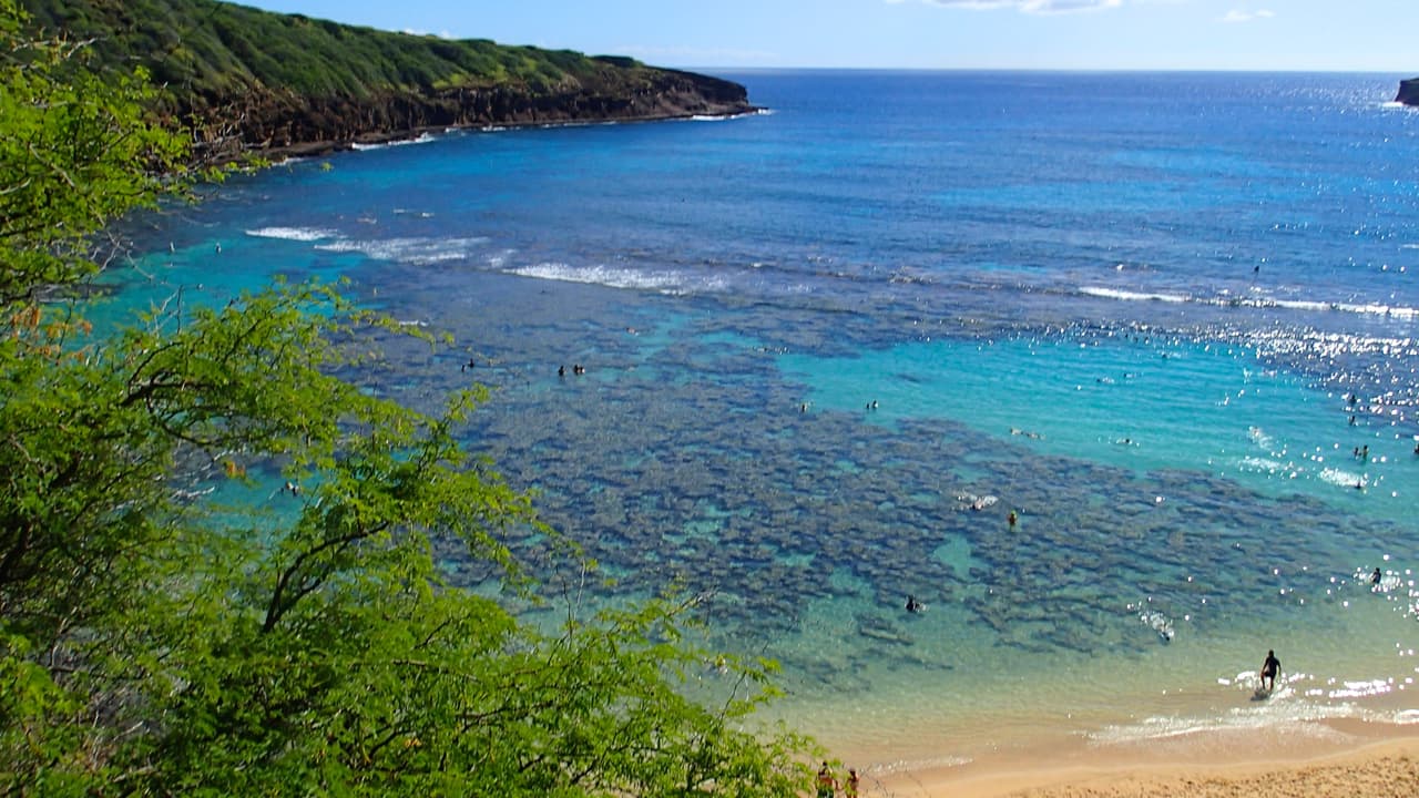 "Si los arrecifes se cuidan pueden volver a nacer”, afirmó Joshua Cinner, experto en arrecifes de la Universidad James Cook. “Los lugares donde se invirtió mucho dinero e investigación en el mar han mejorado. La destrucción de los arrecifes sigue existiendo pero no está tan mal como pensábamos”, añadió.