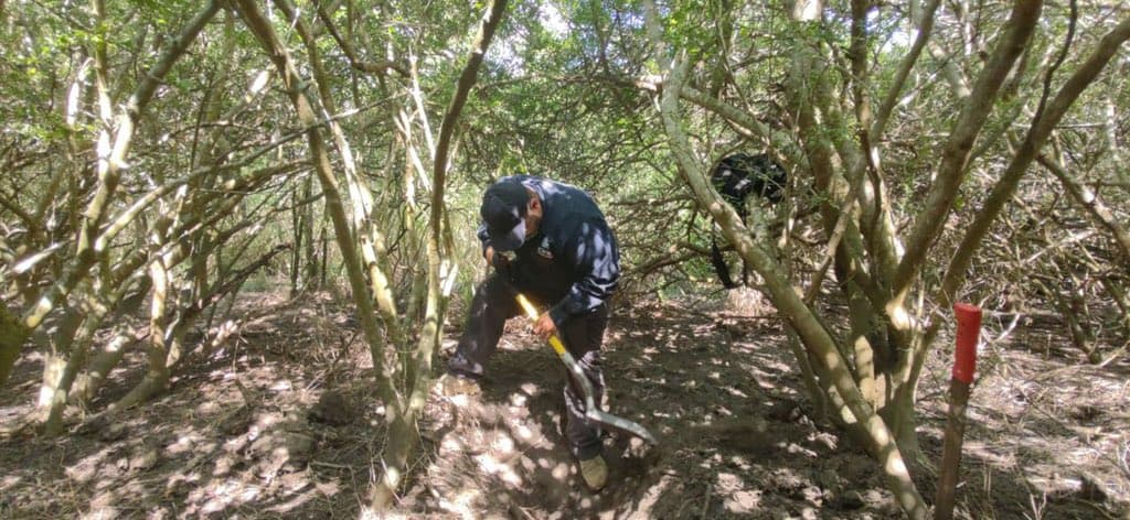 Hace años, el ejido de La Bartolina, estuvo bajo el control y asedio de grupos de grupos del narcotráfico, entre ellos el Cartel del Golfo. Según la Comisión Nacional de Búsqueda se han encontrado los restos óseos humanos, en su mayoría calcinados, lo que lo hace 
<b>una de las fosas clandestinas más grandes del país</b>.