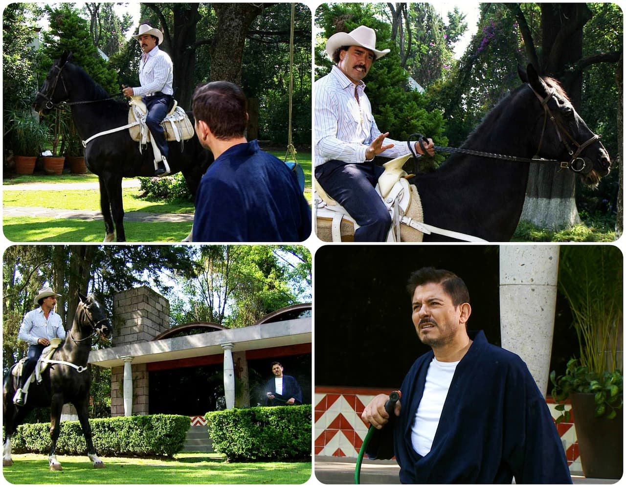 Es su sueño y no dejarán que nadie lo arruine.