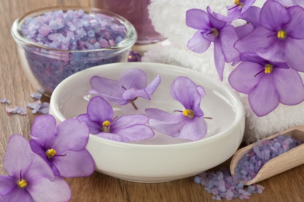 <b>ACUARIO</b>
<br>Para ellos nada de especias, sino deben rodearse de fragancias como la violeta, la orquídea o cítricos como naranja y mandarina, para estimular su conciencia y mantenerlos relajados y calmados.