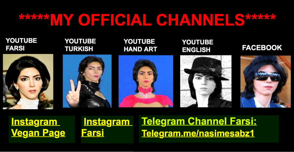 Los canales oficiales de Nasim Aghdam que fueron cancelados. Las redes sociales Facebook, Instagram y Twitter hicieron lo mismo tras el tiroteo en la sede de YouTube.