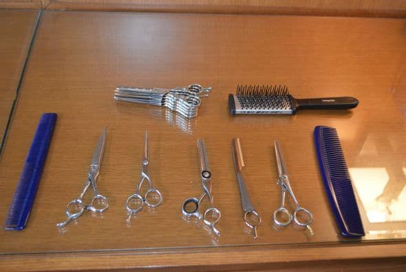 Estas son las herramientas que necesitan para dejarle un ‘look’ espectacular.