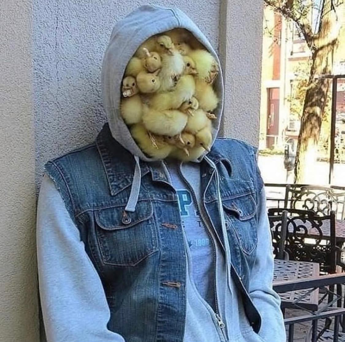 El famoso cantante venezolano el "Pollo Brito" hizo su propia versión del #guaidochallenge.