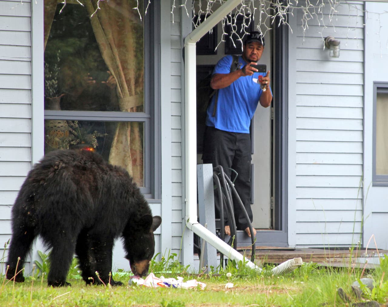 Caza por seguridad: Nueva Jersey busca atender el creciente problema que representan los osos negros 